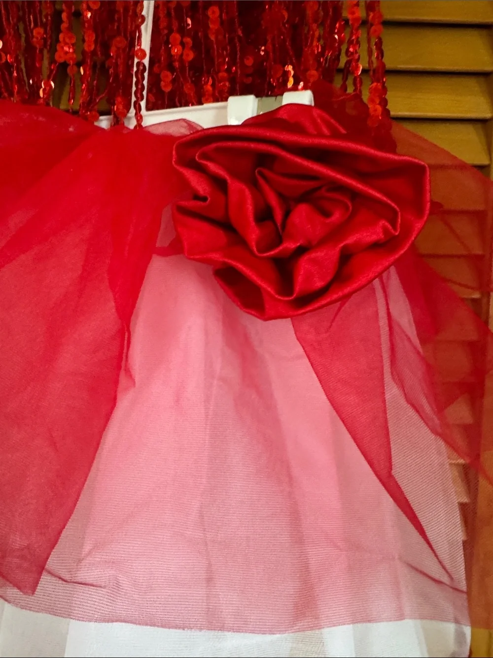 Red Sequin Fringe Tutu Dress with Rosette Accent